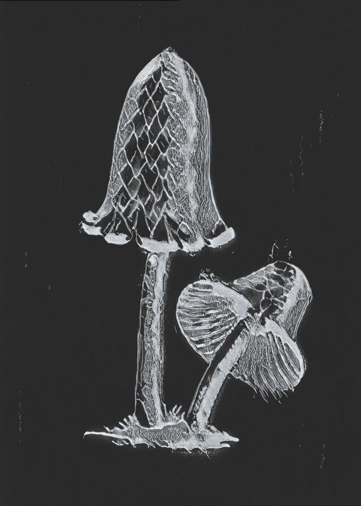 Vintage Tintenfisch-Esspilz, dunkelbraun | Leinwand-Bilder