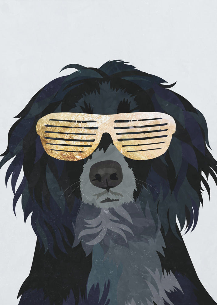 Cockerspaniel Hiphop | Stampe su Tela