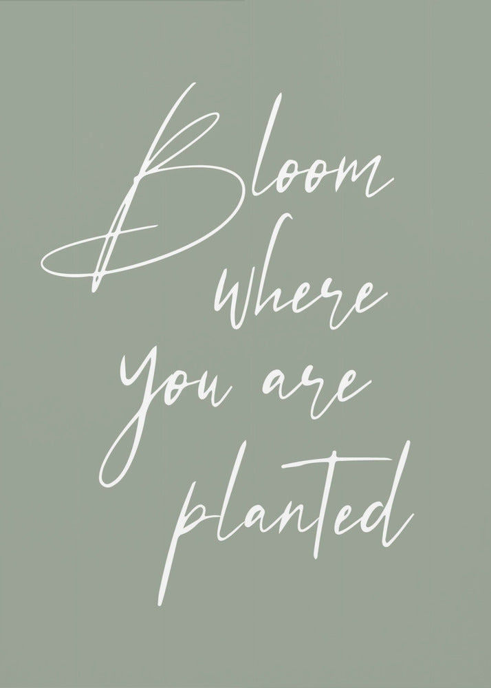 Bloom | Canvas