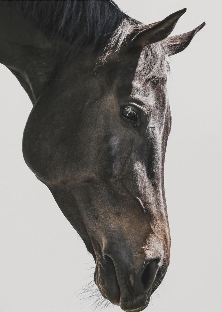Bingo | Tableaux sur Toile
