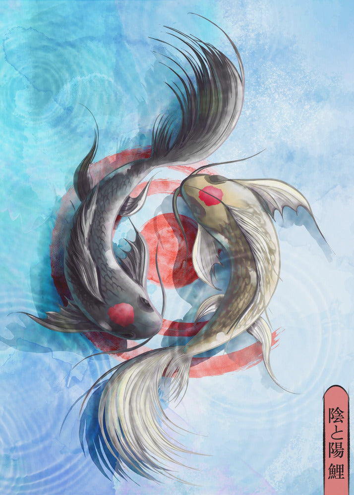 Koi chiaro | Stampe su Tela