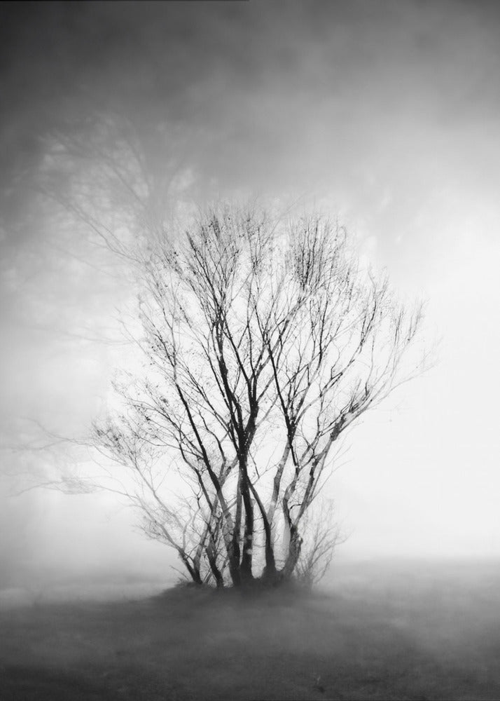 naakt | Canvasprints