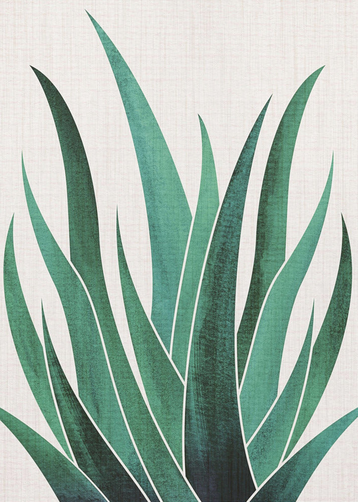 Ökenagavekaktus | Canvas