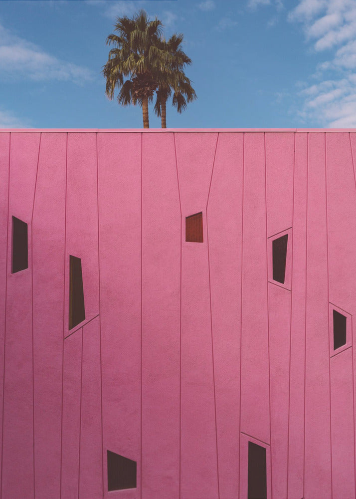 Vibraciones de Palm Springs III | Impresiones en Lienzo