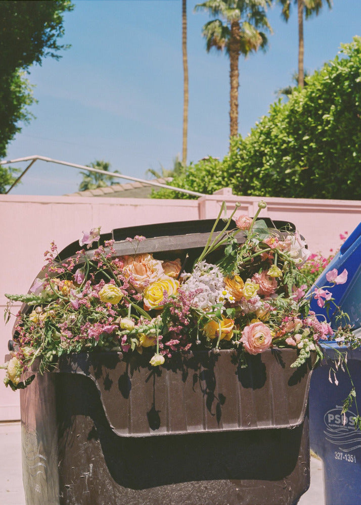 Marciapiede di Palm Springs | Stampe su Tela