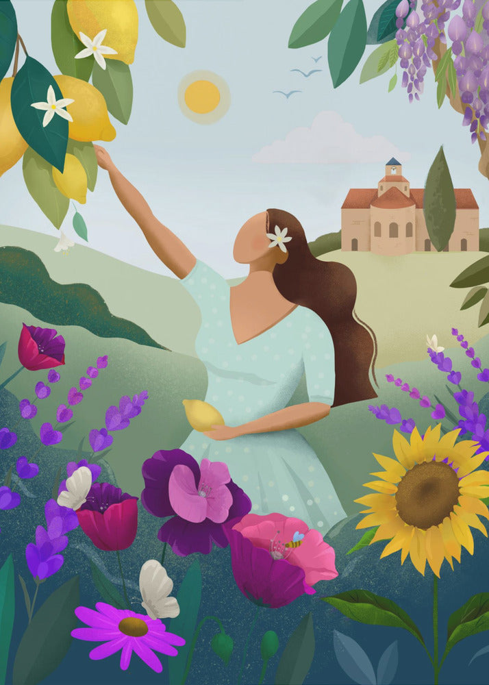 Sommer i Provence | Lærredsbilleder