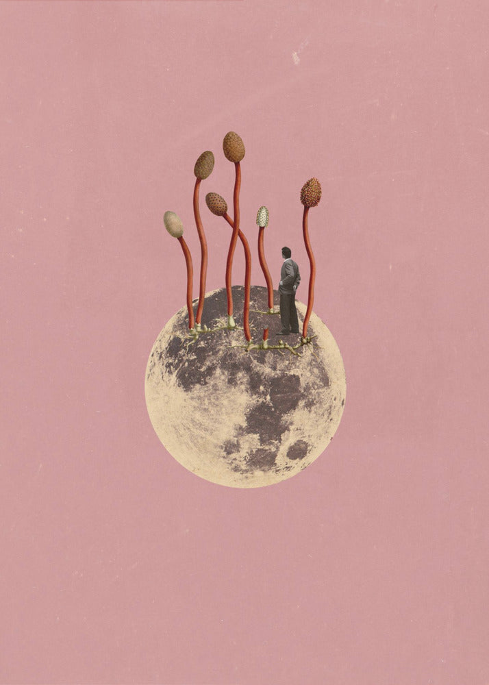 Lunar Growth | Canvas