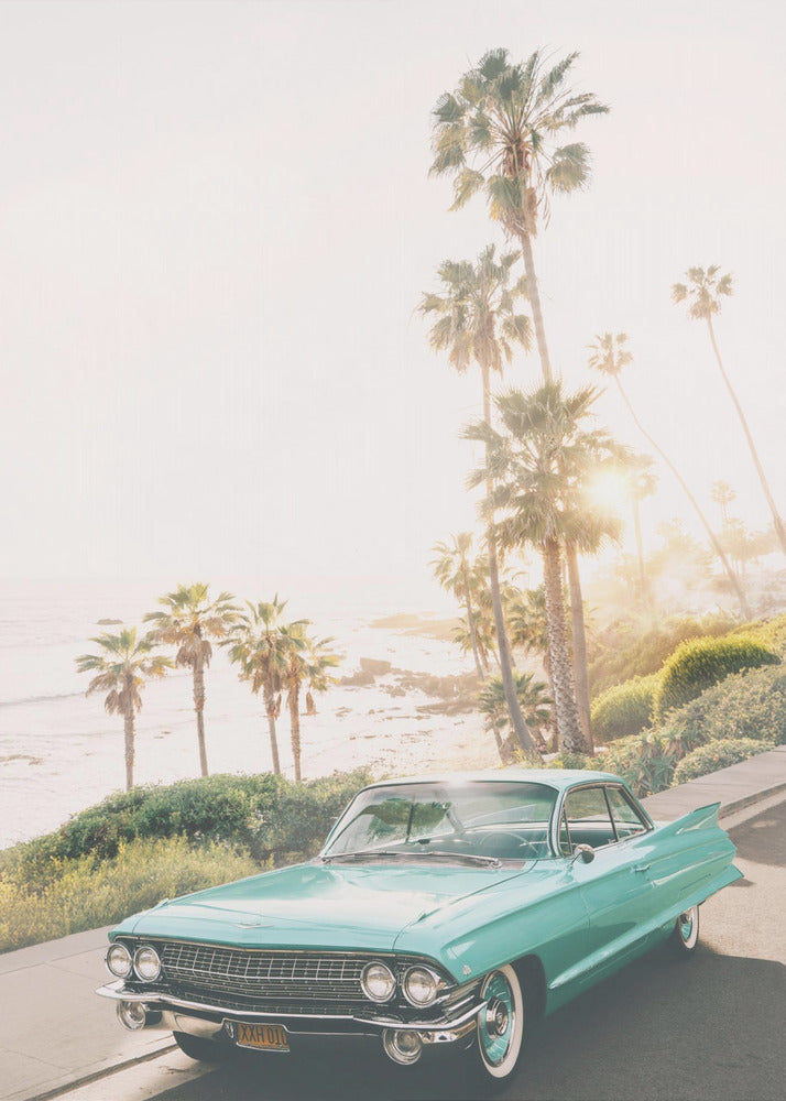 Malibu Classic | Leinwand-Bilder
