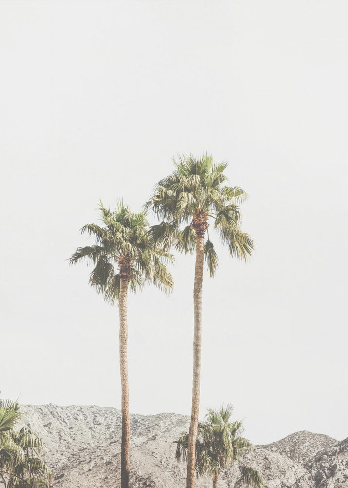Palmiers de Palm Springs | Tableaux sur Toile