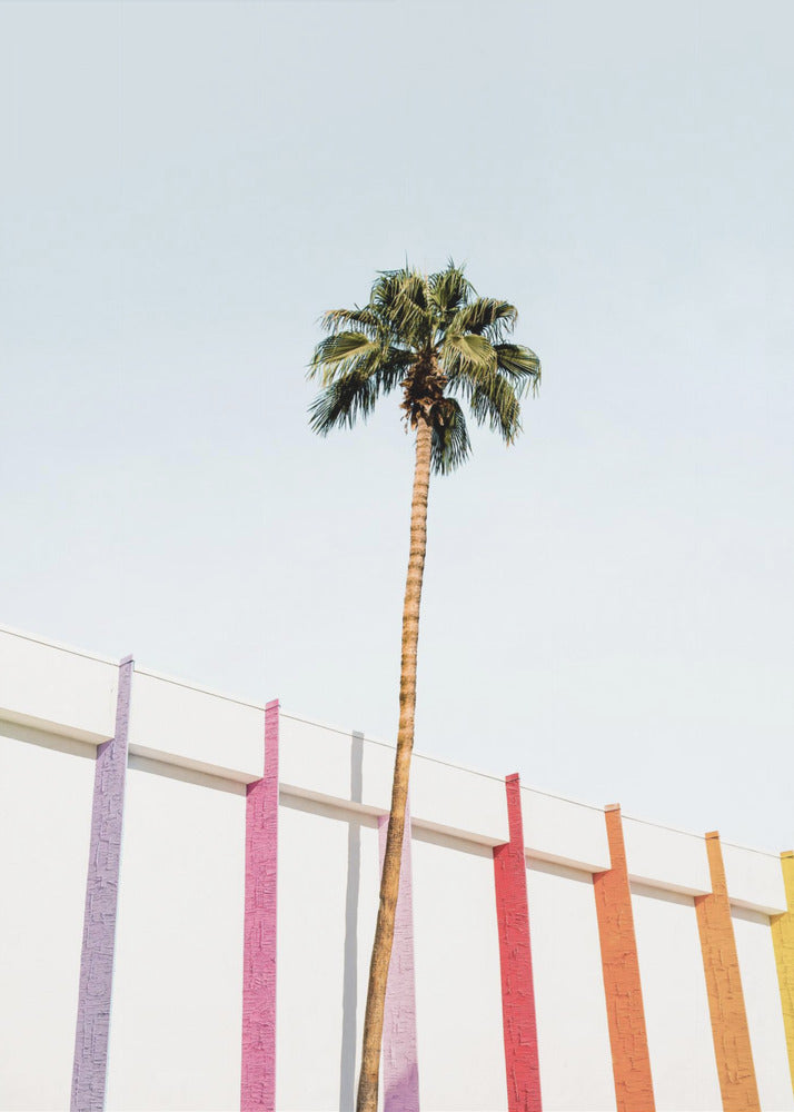 Couleurs de Palm Spring 2 | Tableaux sur Toile