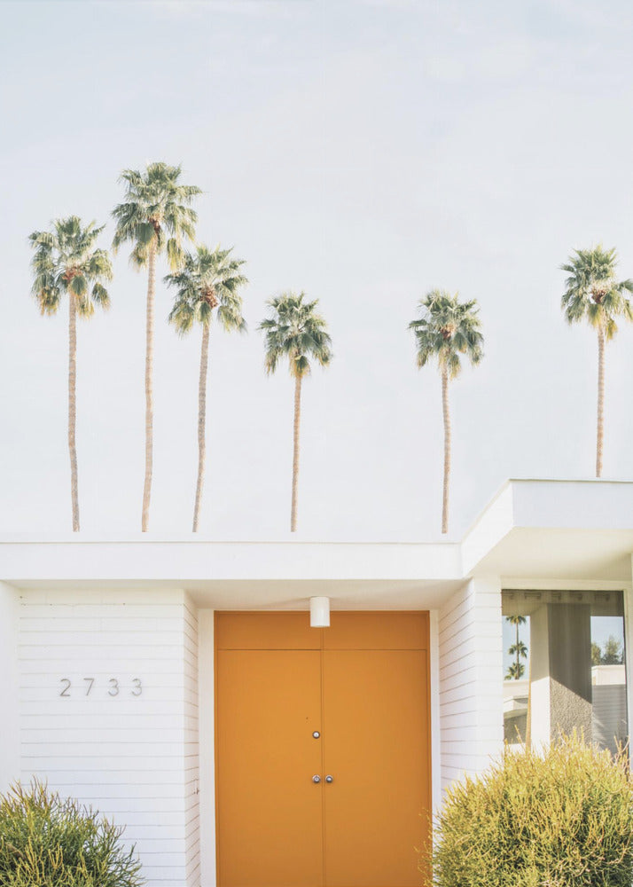 Palm Springs 1 | Lærredsbilleder