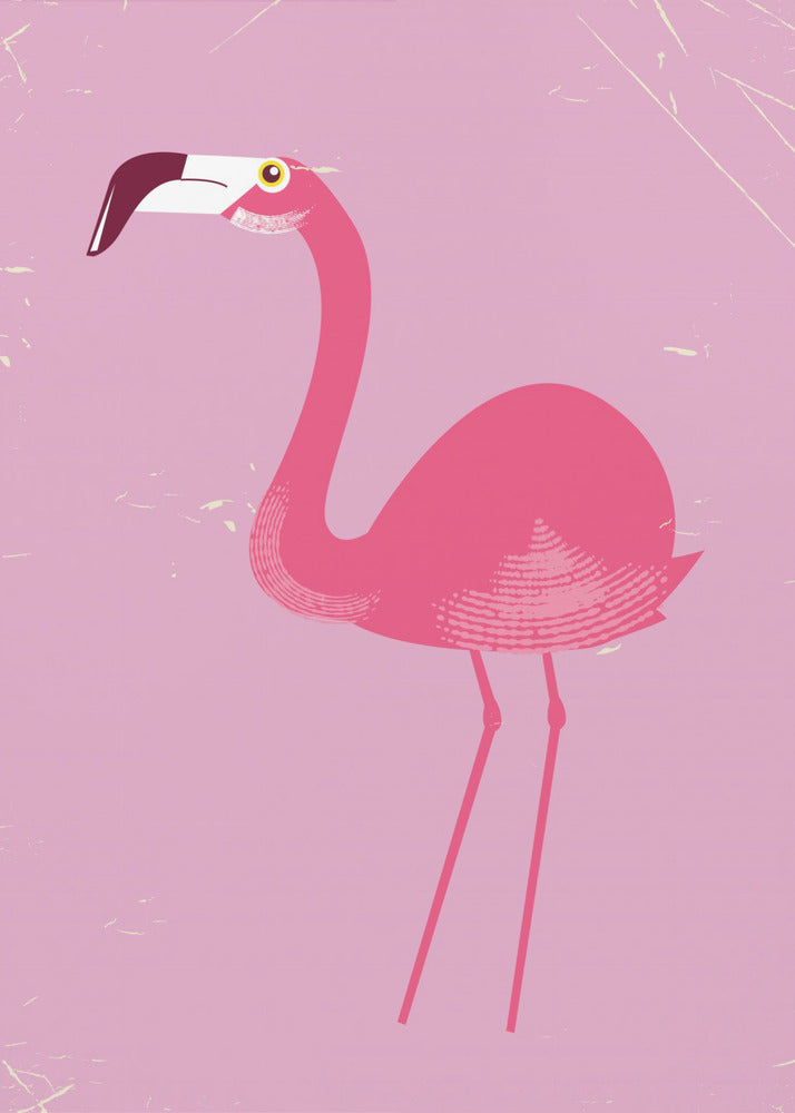 Flamingo Bird | Canvas