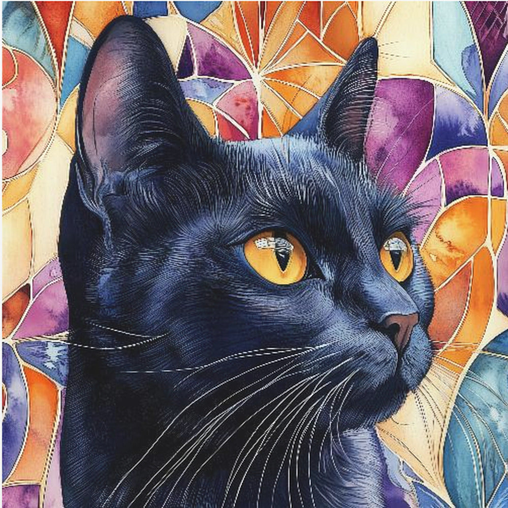 Svart katt Rocky | Poster