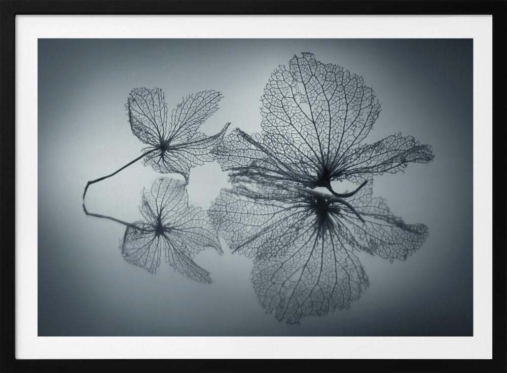 Bellezza effimera | Poster - Stampe d’Arte