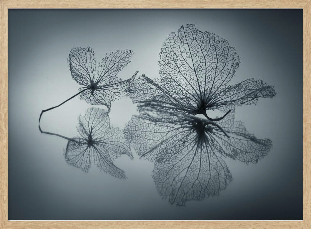 Bellezza effimera | Poster - Stampe d’Arte