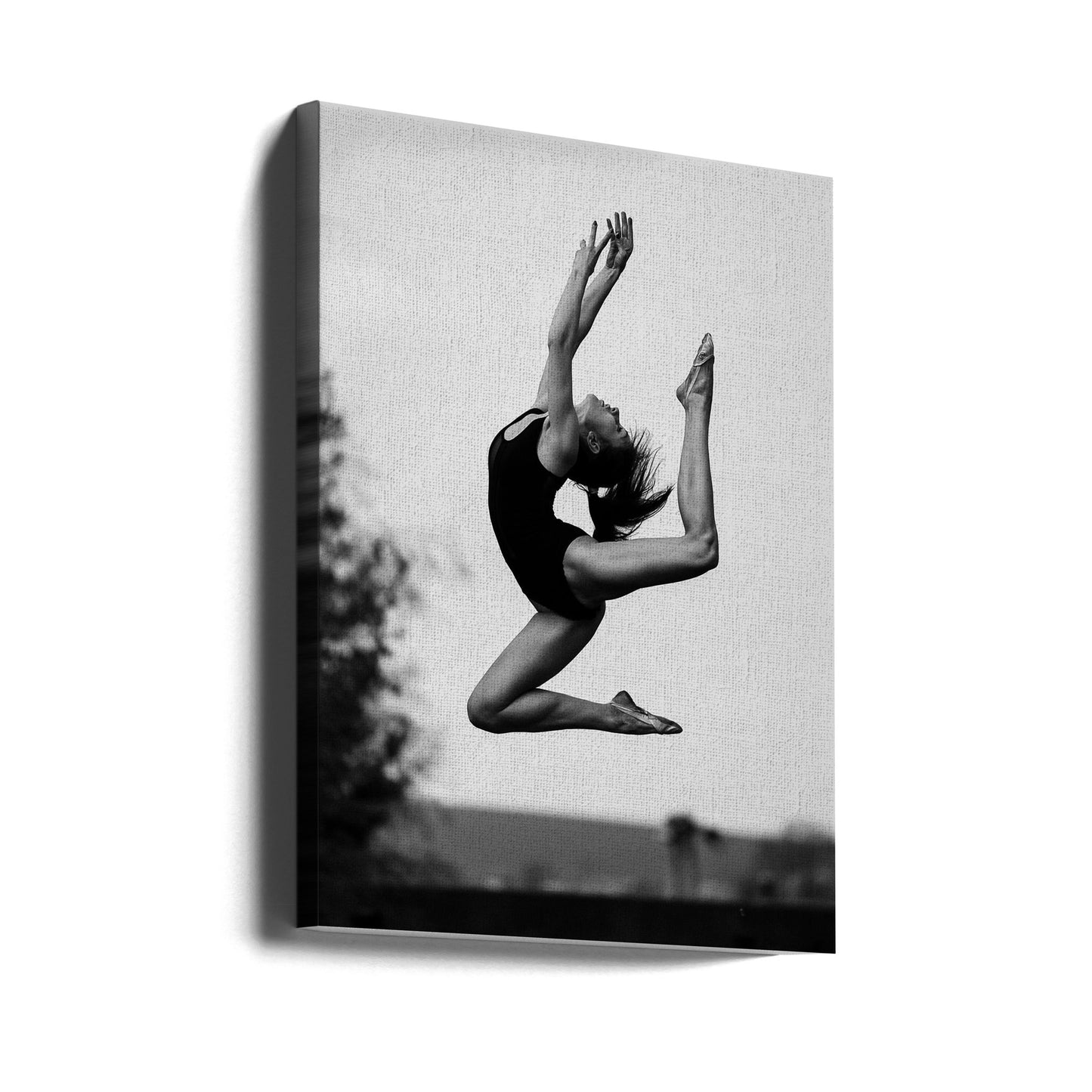 Dansen | Canvasprints