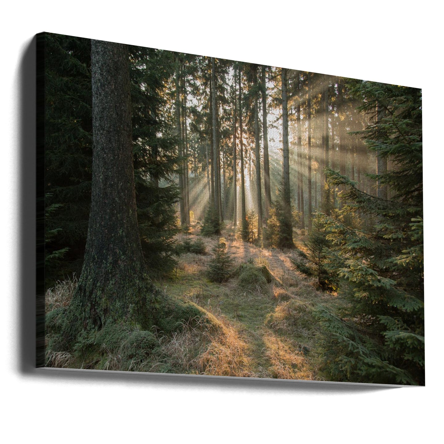 Rayons, partie 2 | Tableaux sur Toile