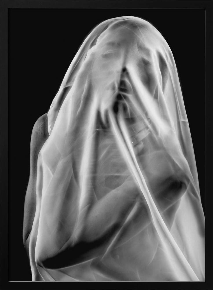 Life Behind the Veil | Poster