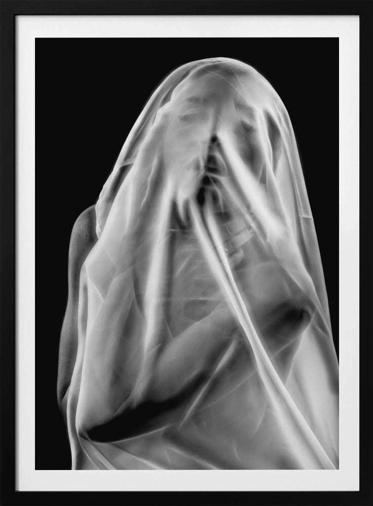Life Behind the Veil | Poster