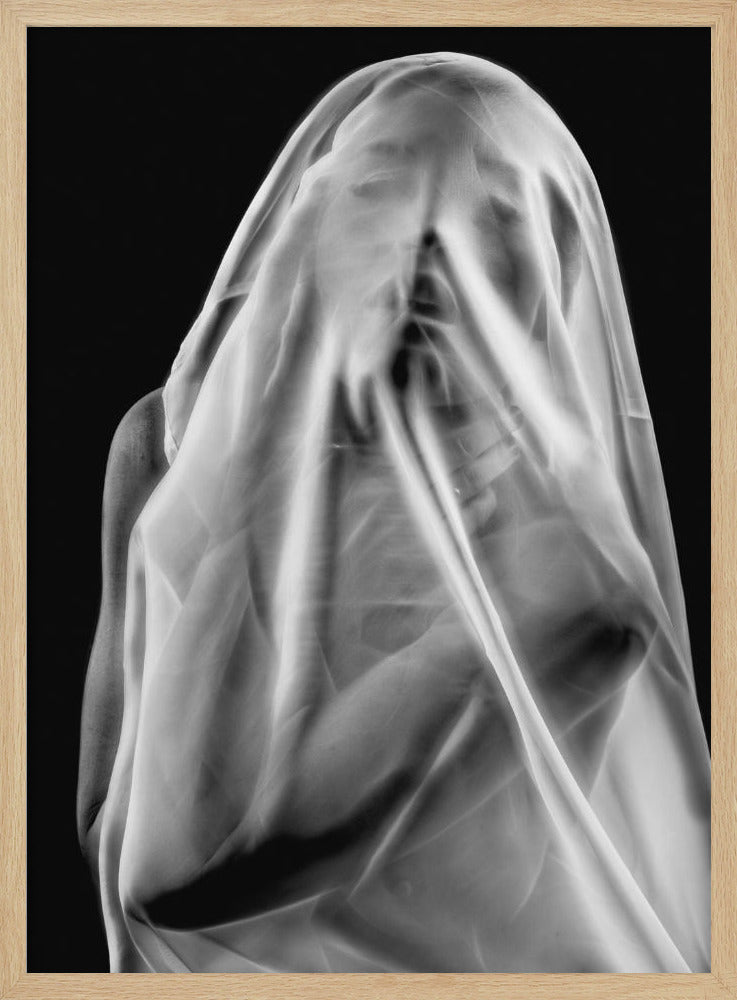 Life Behind the Veil | Poster