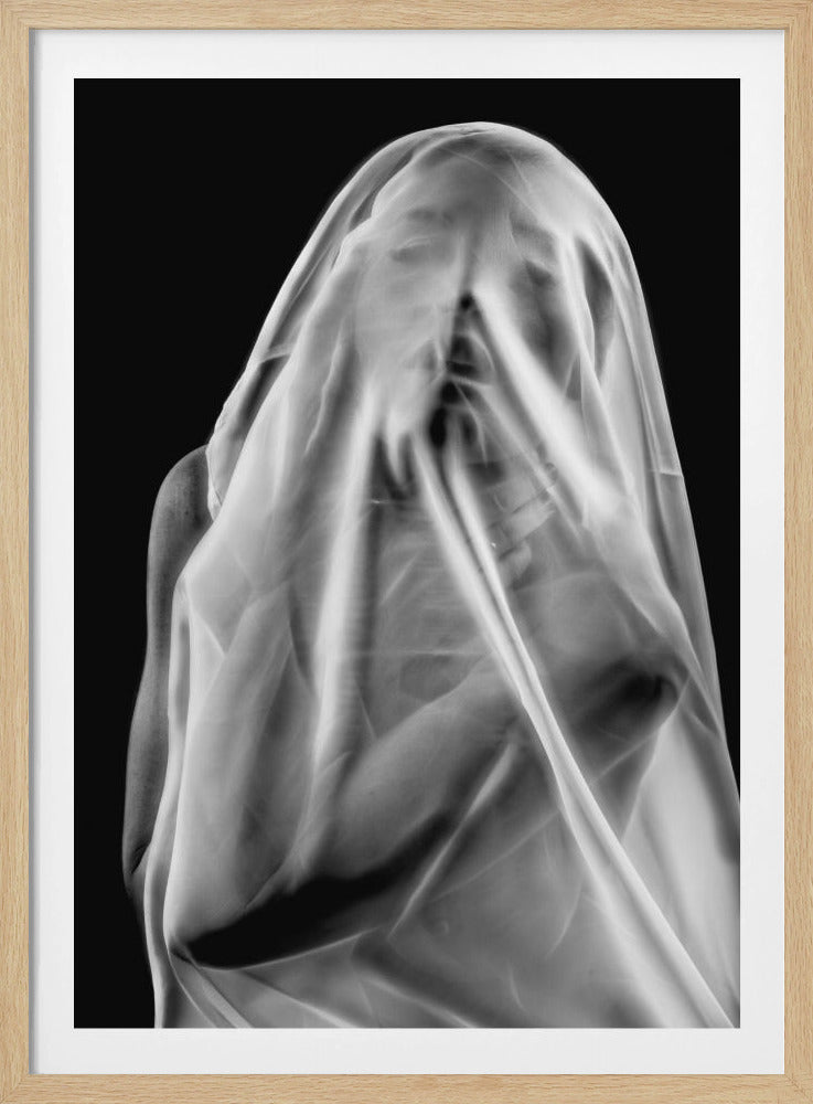 Life Behind the Veil | Poster