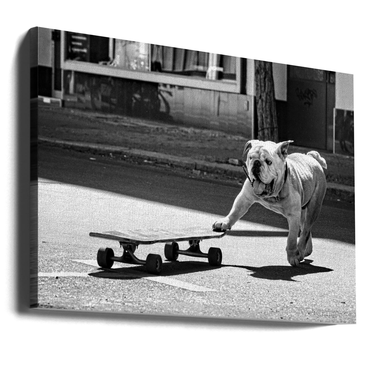 ... dogs just want to have fun ... | Canvas