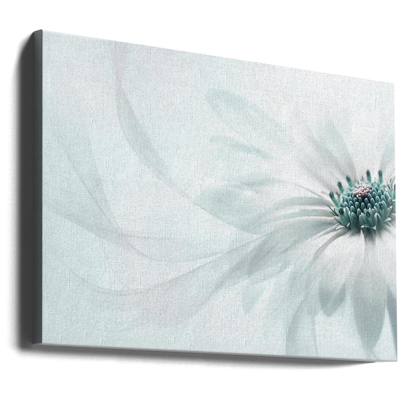 Pureté | Tableaux sur Toile