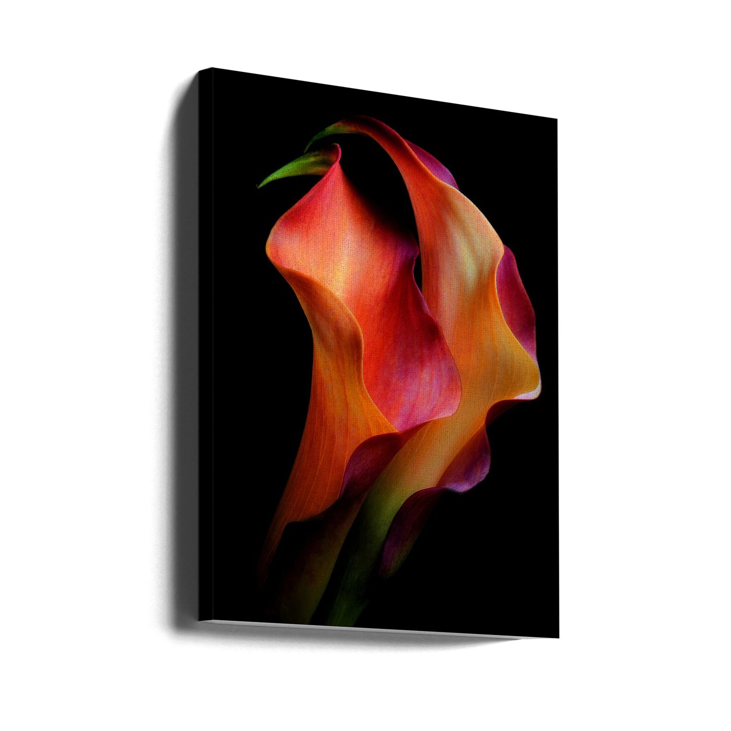 Tendresse | Tableaux sur Toile