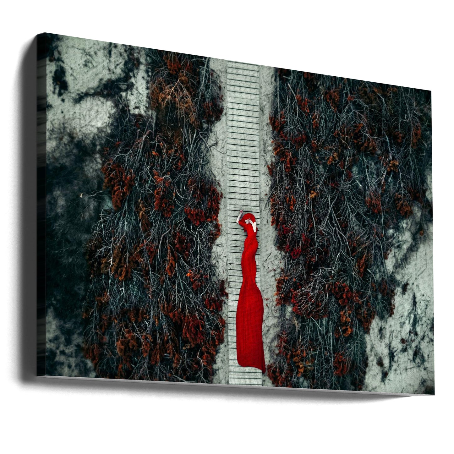 Crimson Pathway | Canvas