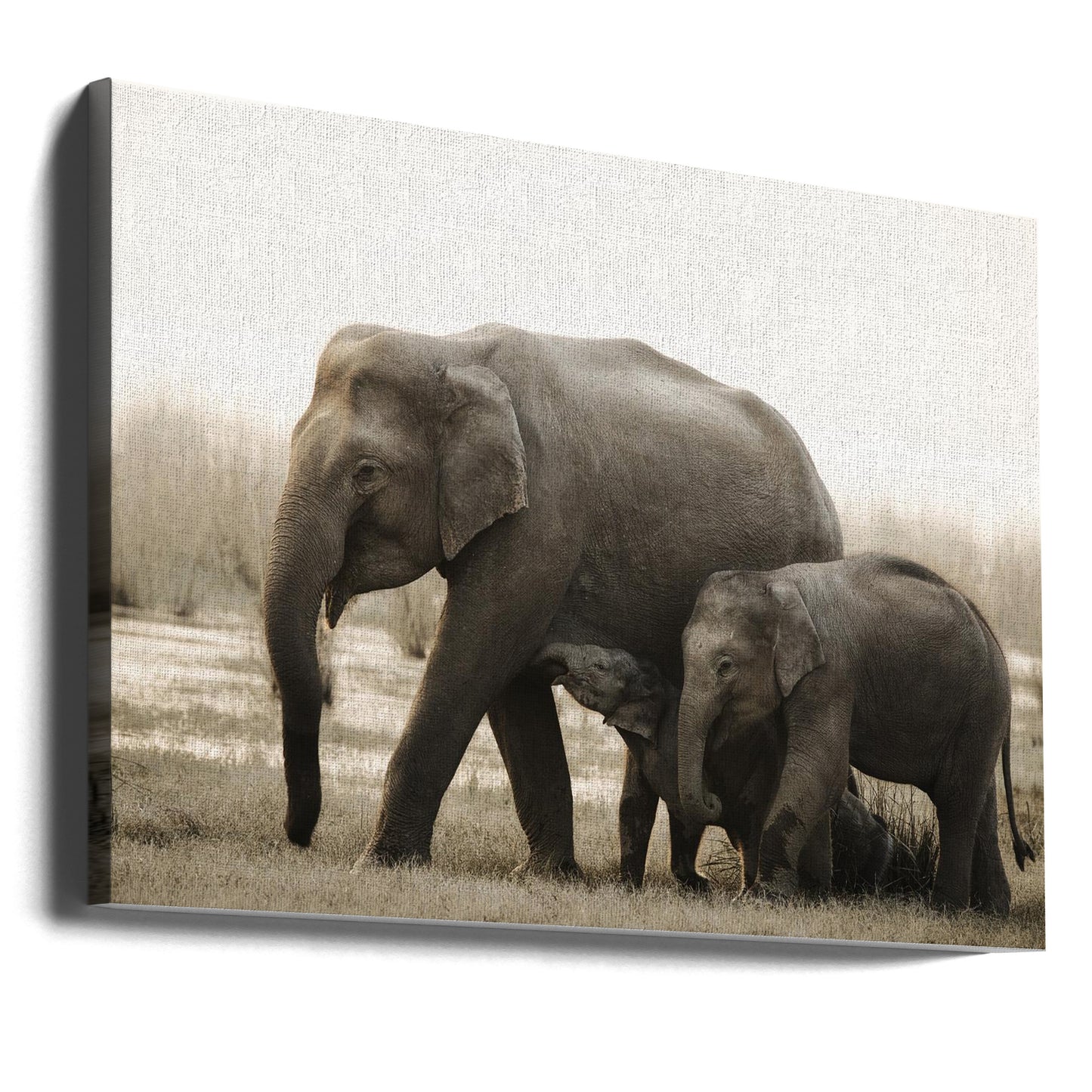 portrait de famille | Tableaux sur Toile