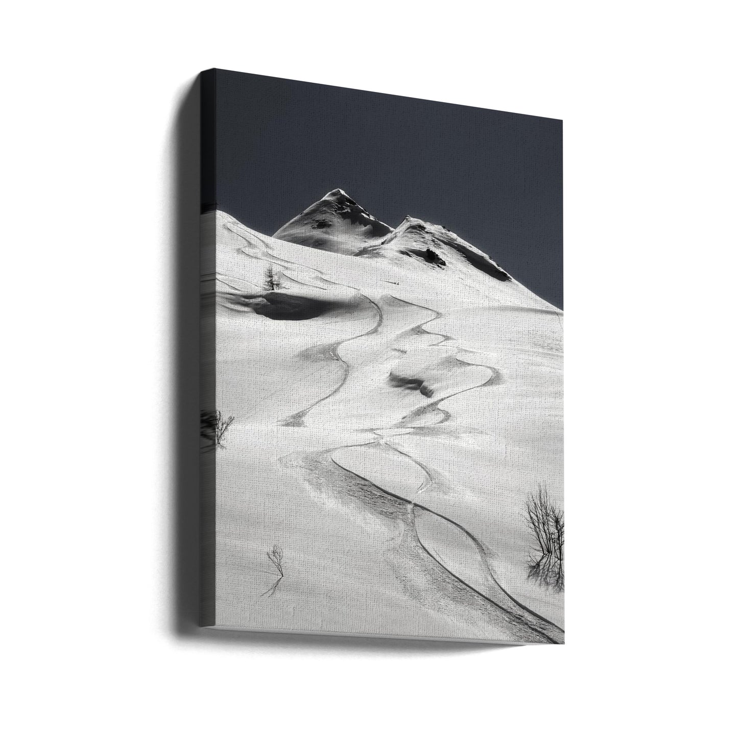 freeride | Canvas