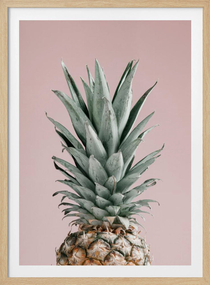 Ananas Pinkki 02 | Julisteet - Taidevedokset