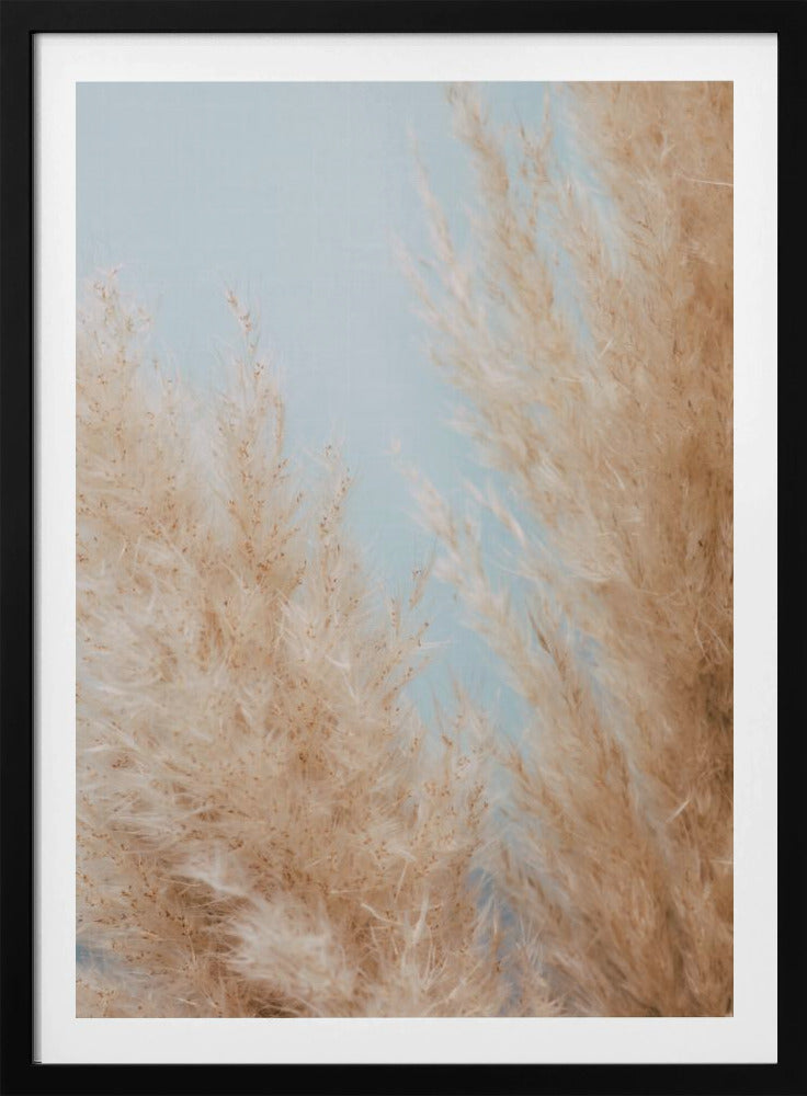 Pampas Close 01 | Poster
