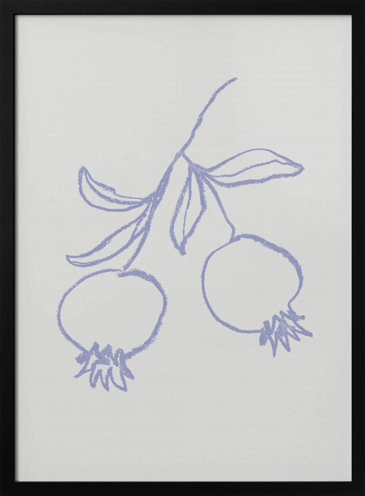 Granatäpple Syren | Poster