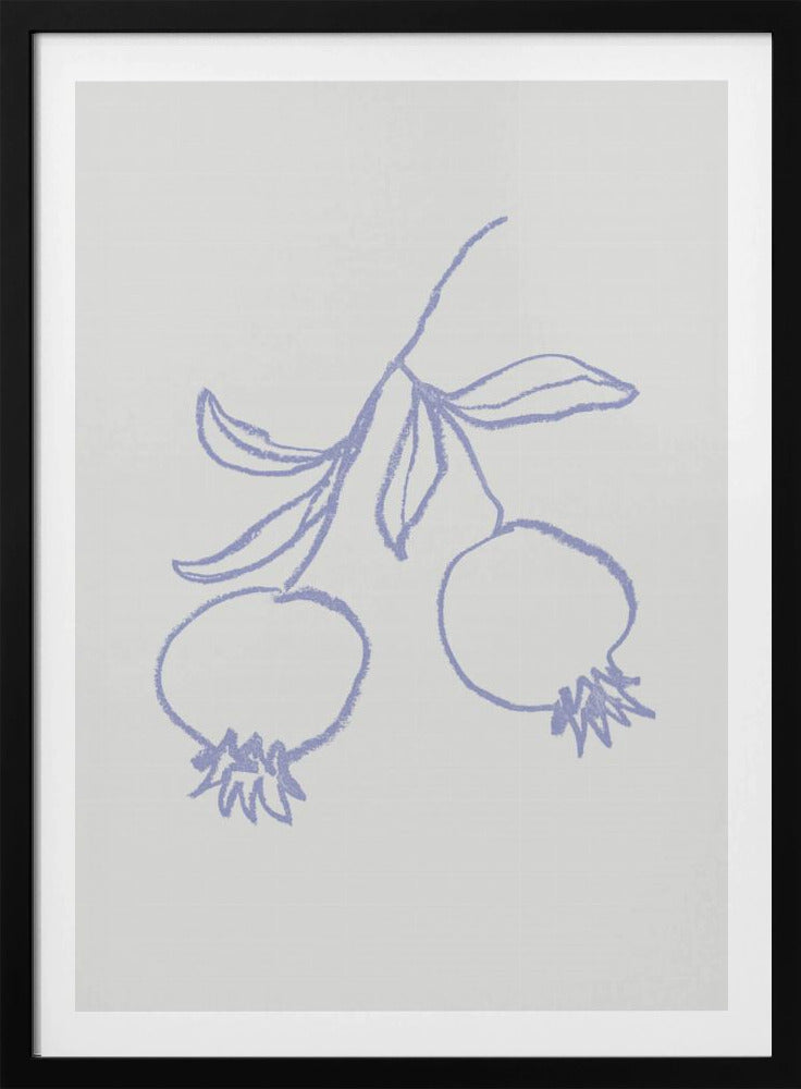 Granatäpple Syren | Poster
