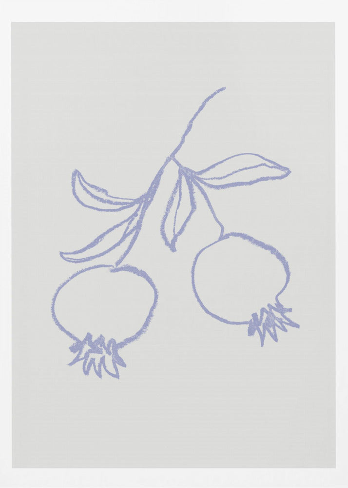 Granatäpple Syren | Poster