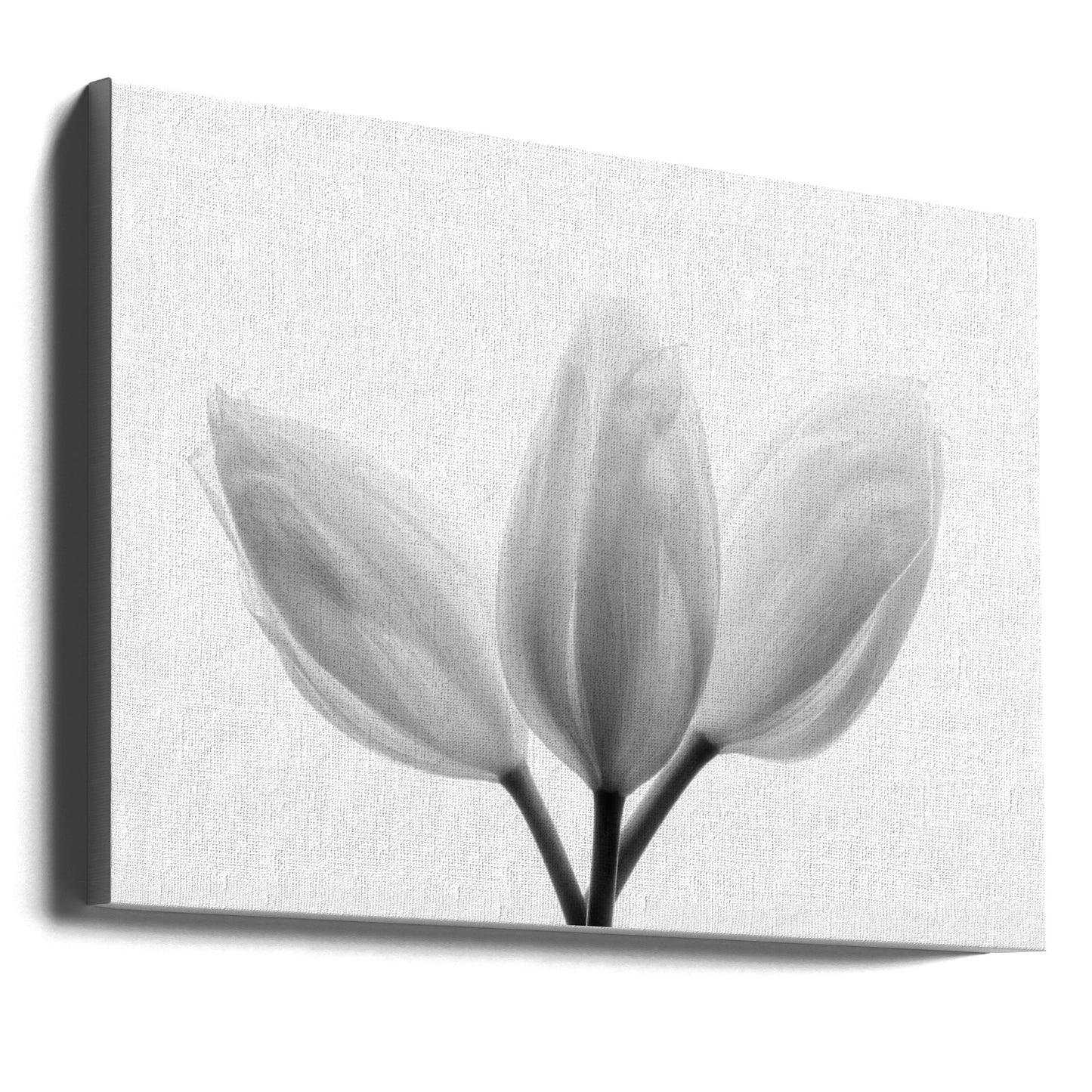 Trinité | Tableaux sur Toile