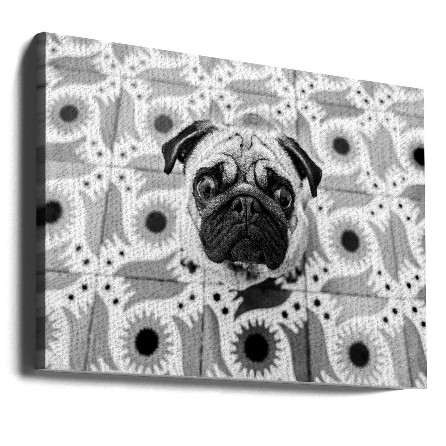 Voodoo | Leinwand-Bilder