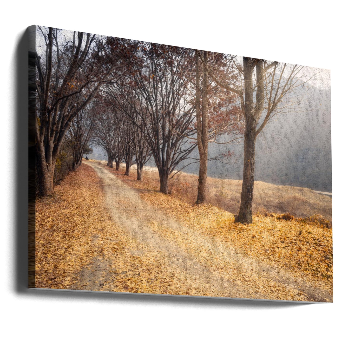 Nel mezzo dell'autunno | Stampe su Tela