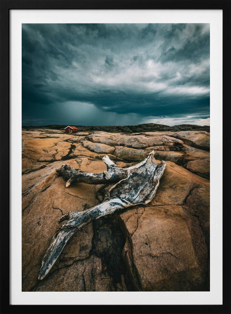 Drift wood | Poster