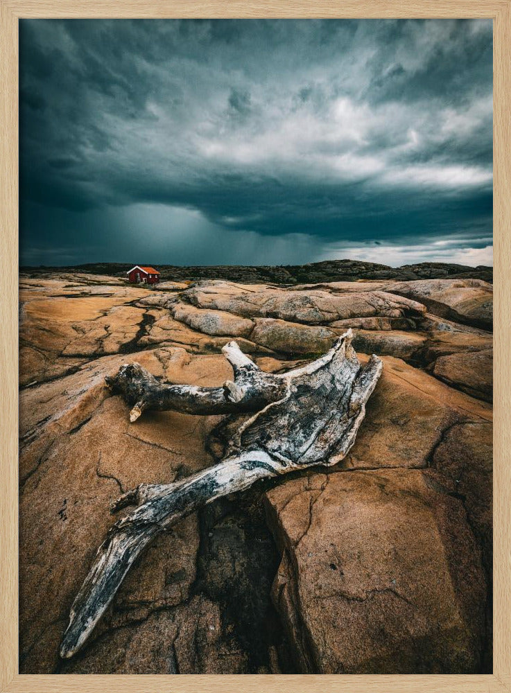 Drift wood | Poster