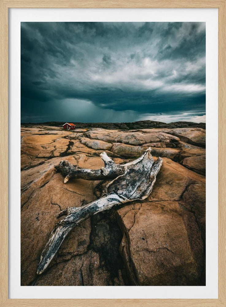 Drift wood | Poster