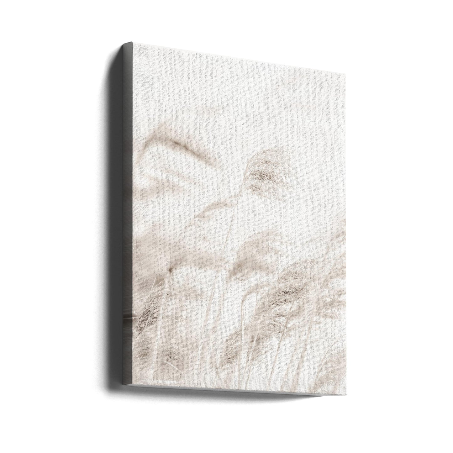 VASS | Canvas