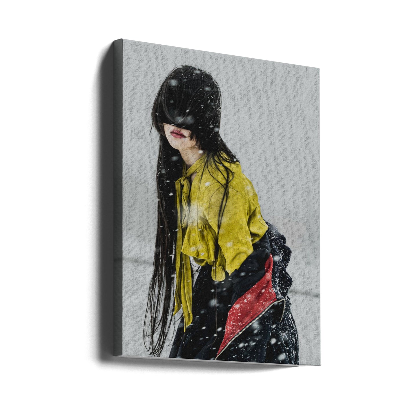 Snöns början | Canvas