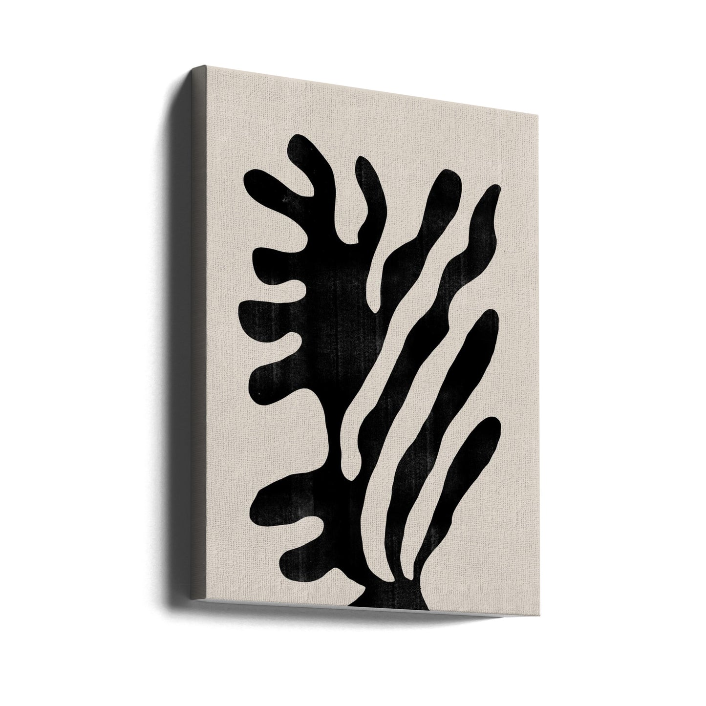 Samenvatting Plant No1. | Canvasprints