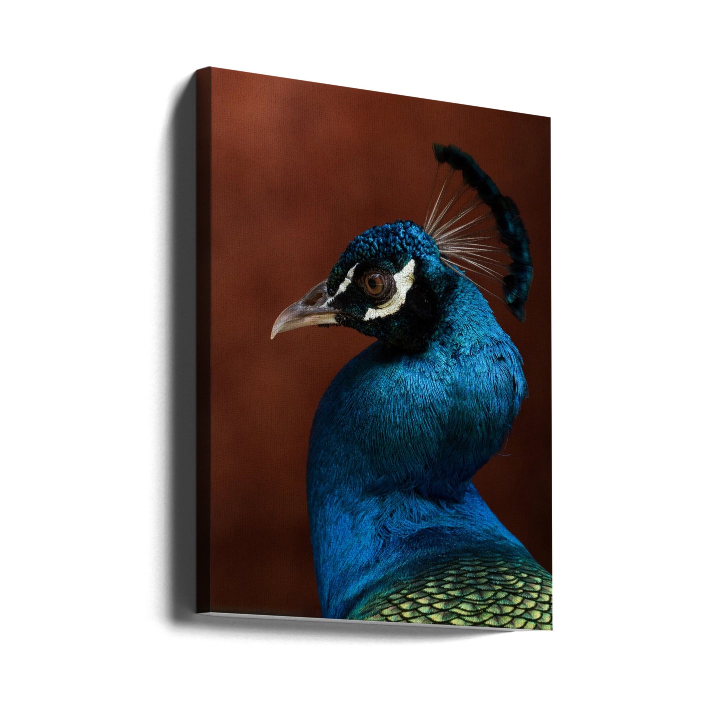 Förförelseläge | Canvas