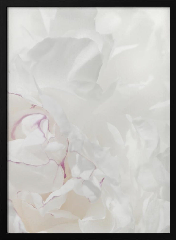 Peony 21 | Poster