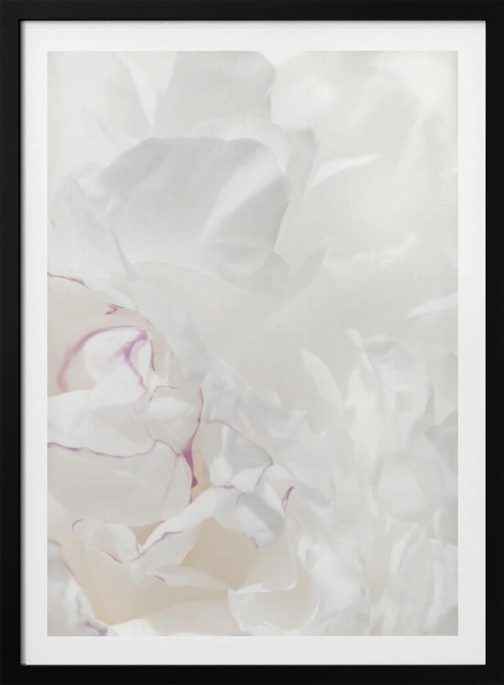 Peony 21 | Poster