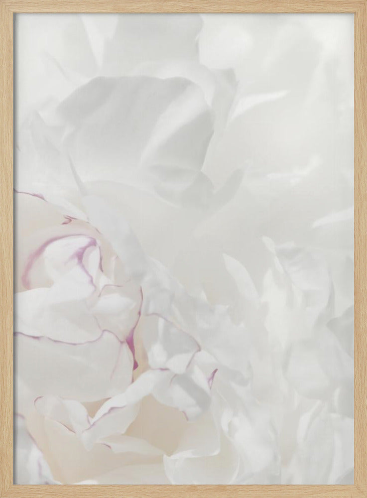 Peony 21 | Poster