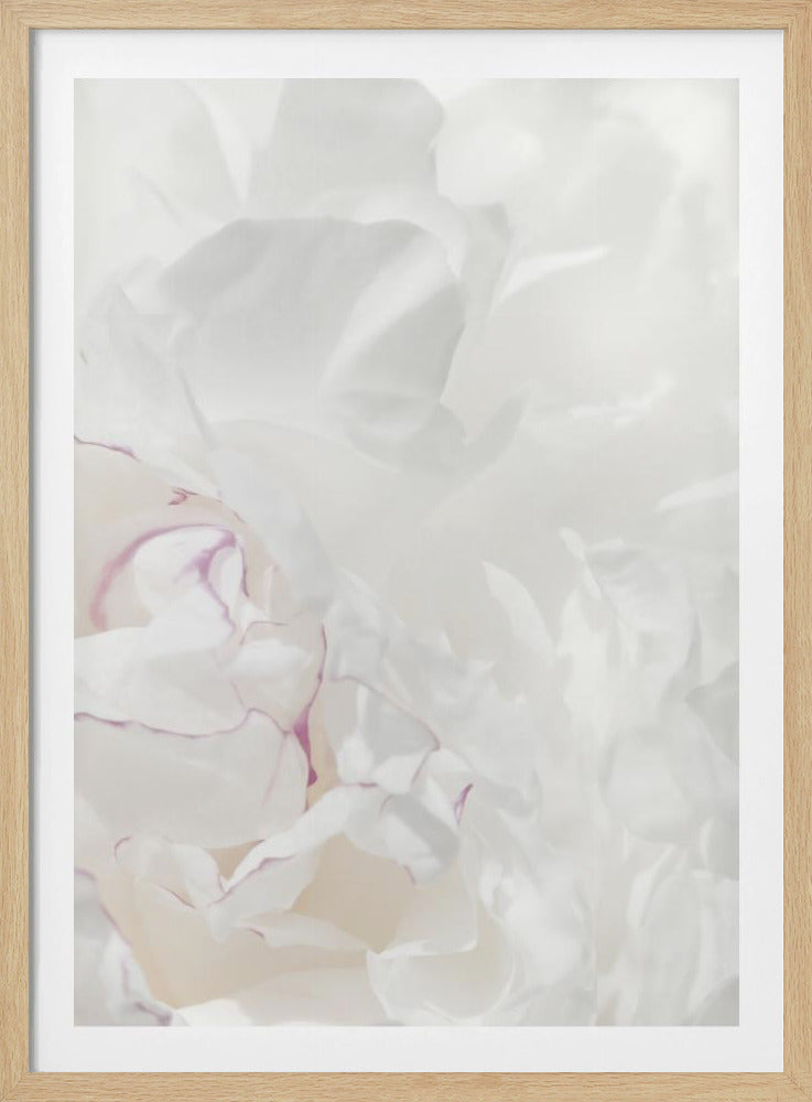 Peony 21 | Poster